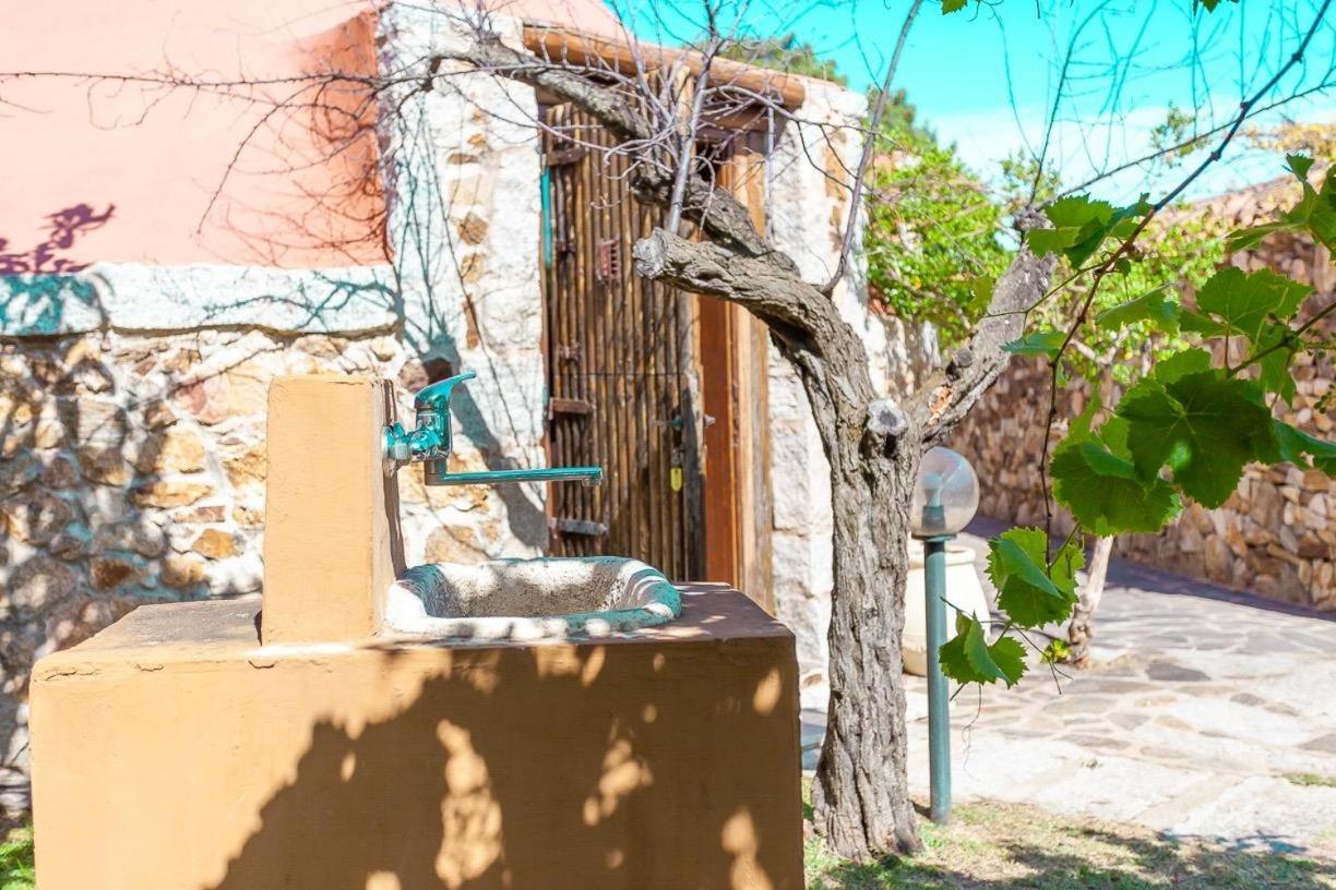 B&B Pettirosso Garden San Teodoro  Exteriér fotografie