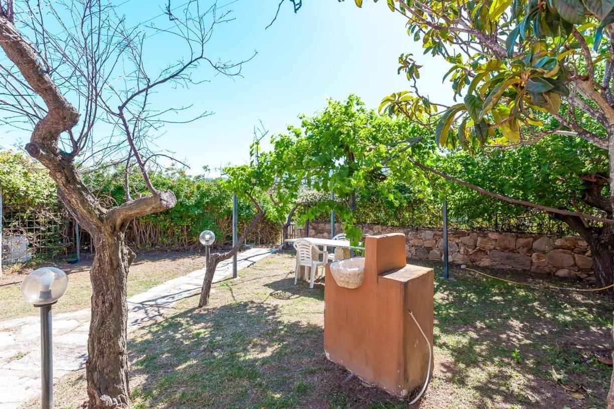 B&B Pettirosso Garden San Teodoro  Exteriér fotografie