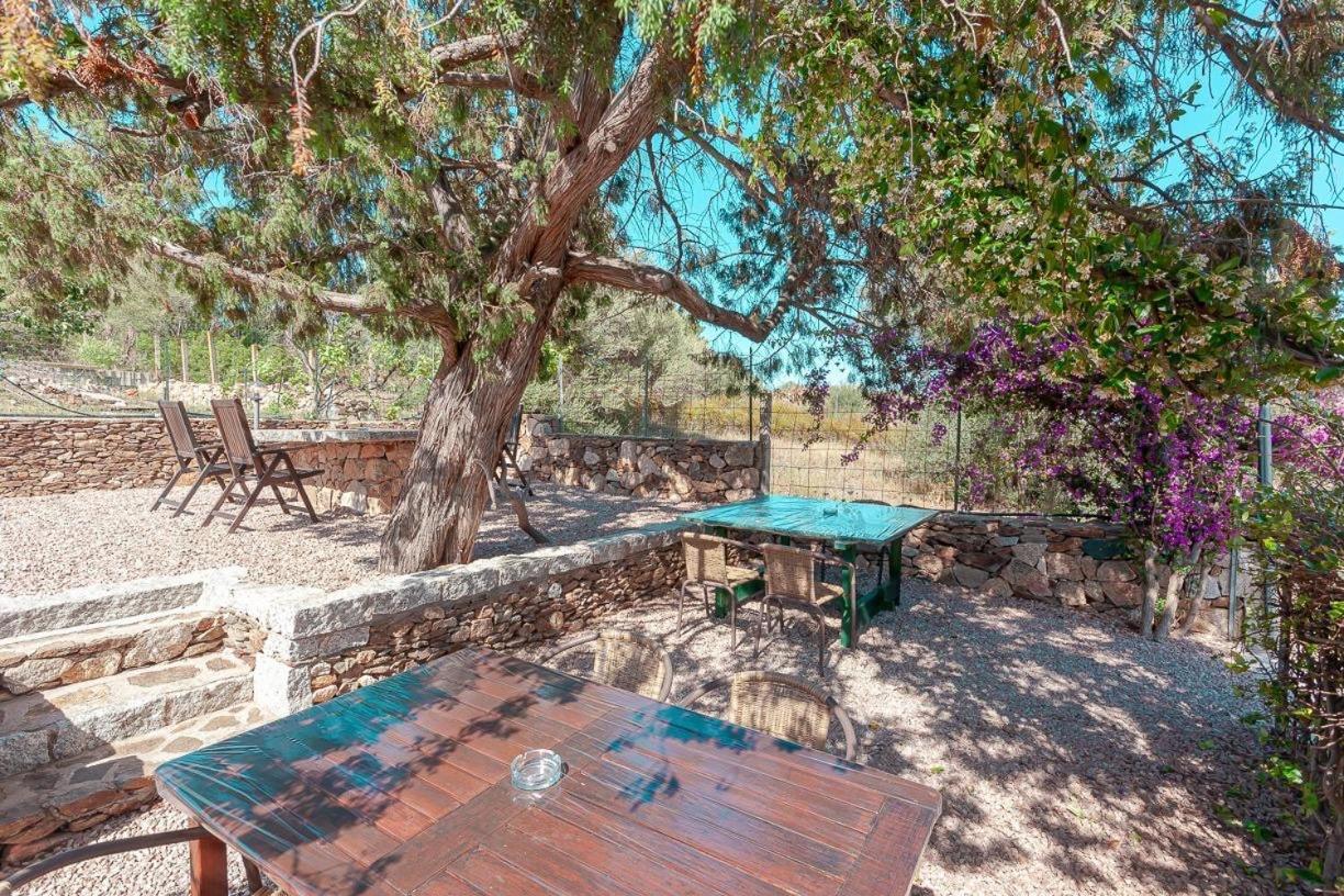 B&B Pettirosso Garden San Teodoro  Exteriér fotografie