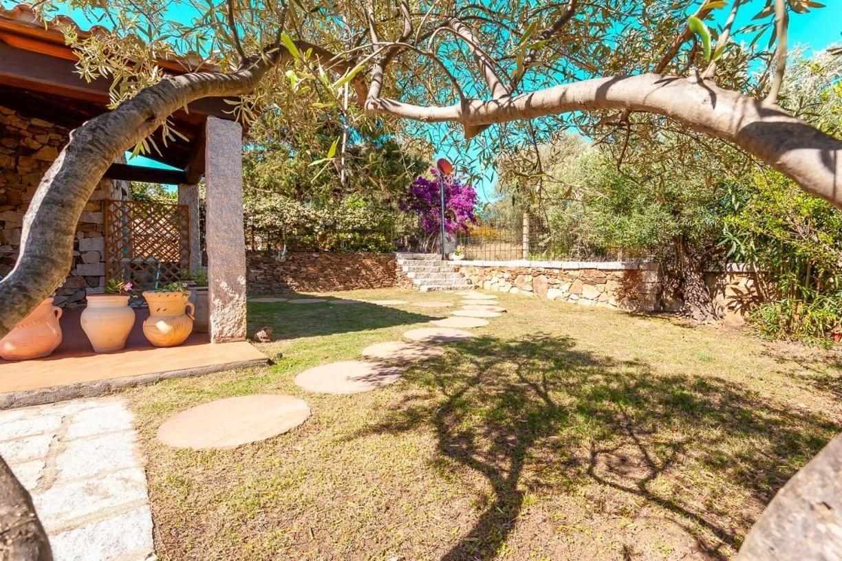 B&B Pettirosso Garden San Teodoro  Exteriér fotografie