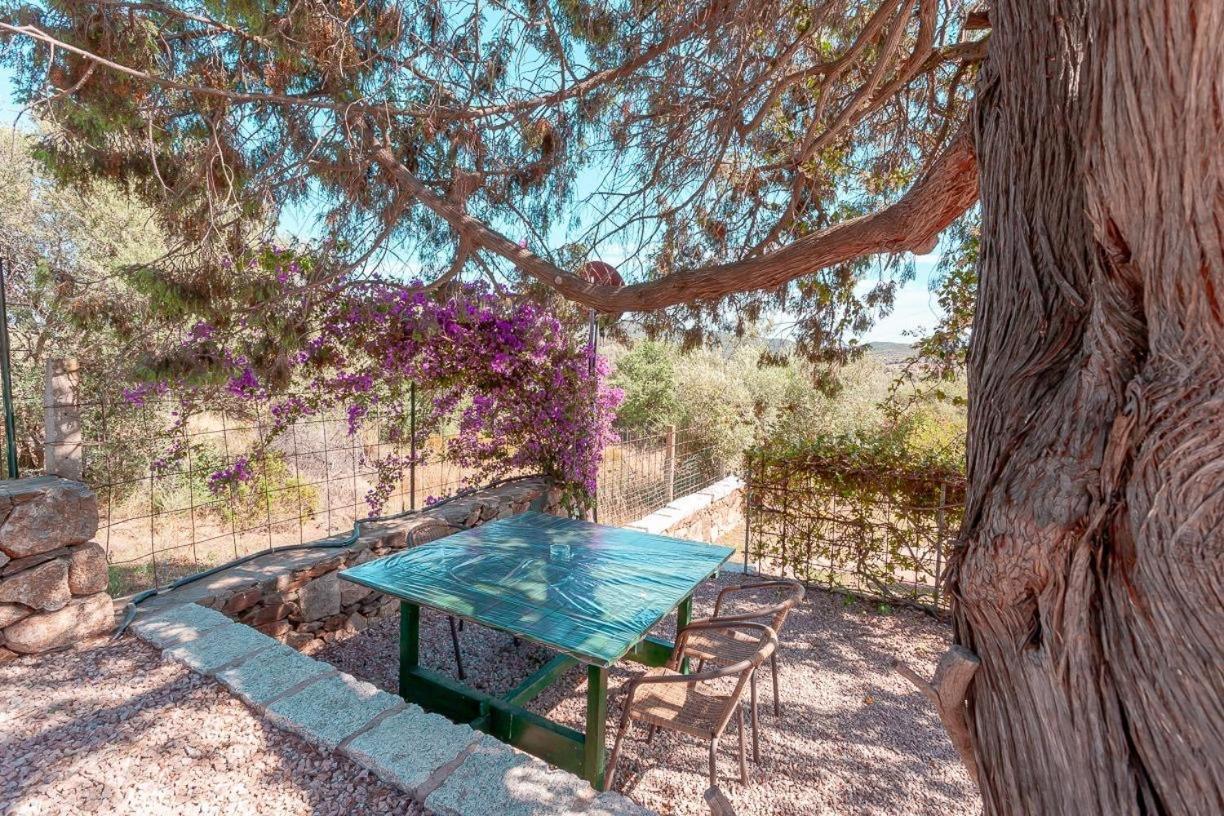 B&B Pettirosso Garden San Teodoro  Exteriér fotografie