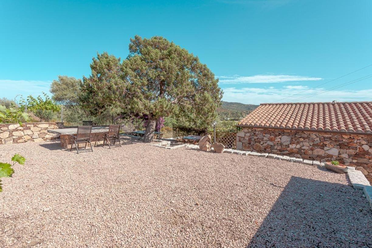 B&B Pettirosso Garden San Teodoro  Exteriér fotografie